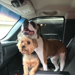 Meet your Posher, Jake